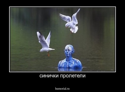 синички пролетели
