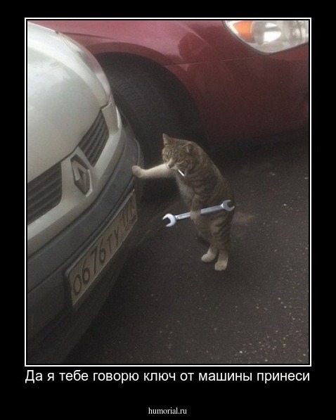 Да я тебе говорю ключ от машины принеси