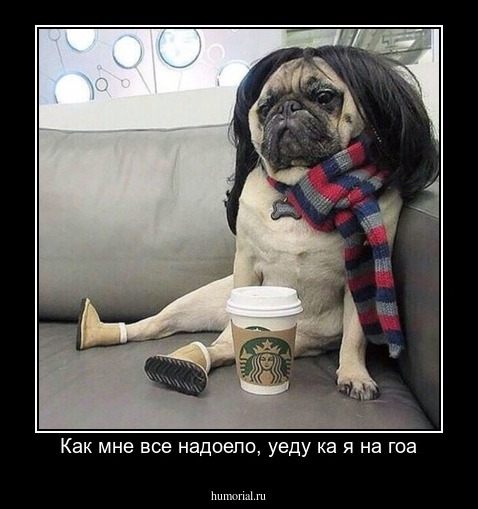Как мне все надоело, уеду ка я на гоа