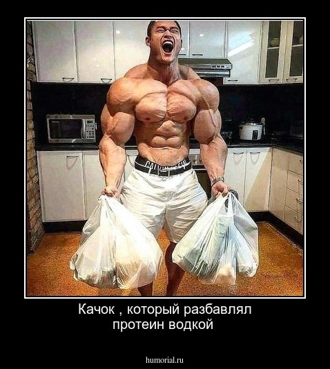  Качок , который разбавлял протеин водкой 