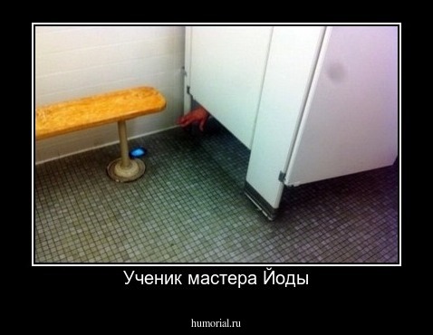 Ученик мастера Йоды