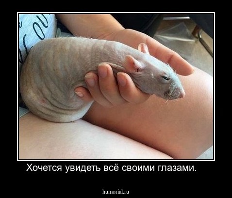 Хочется увидеть всё своими глазами.   