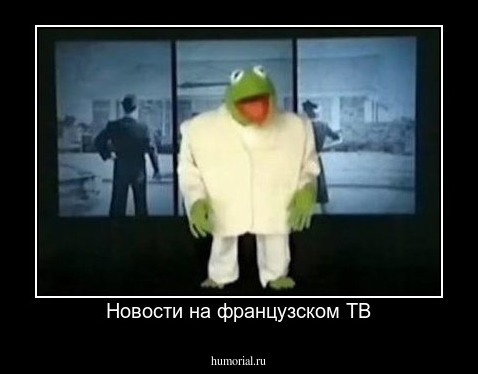 Новости на французском ТВ