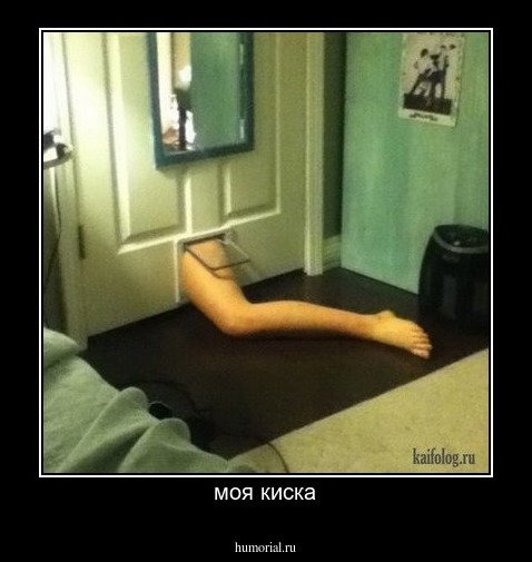 моя киска