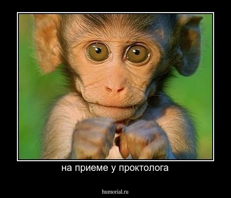 на приеме у проктолога