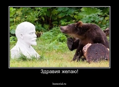 Здравия желаю!