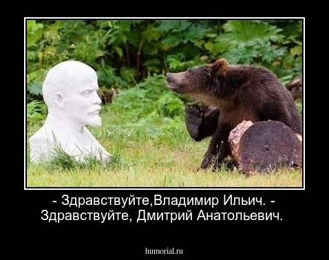 - Здравствуйте,Владимир Ильич. - Здравствуйте, Дмитрий Анатольевич.