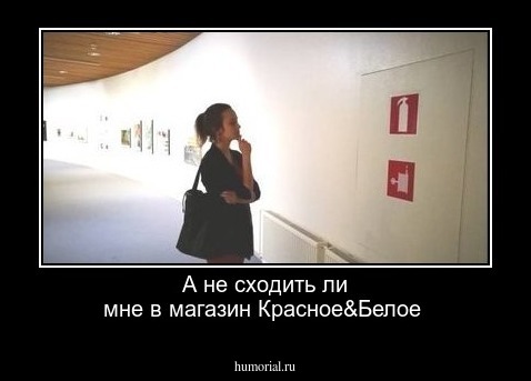 А не  сходить ли  мне  в  магазин Красное&Белое