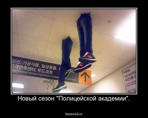Новый сезон "Полицейской академии".