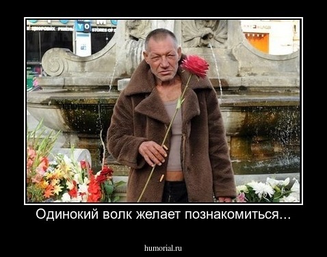 Одинокий волк желает познакомиться...
