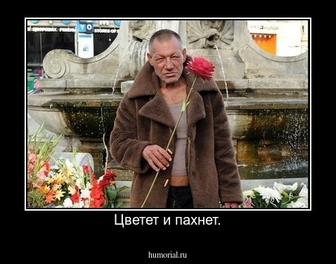 Цветет и пахнет.