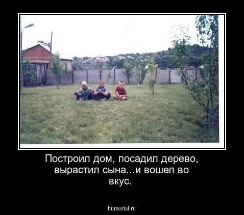 Построил дом, посадил дерево, вырастил сына...и вошел во вкус.