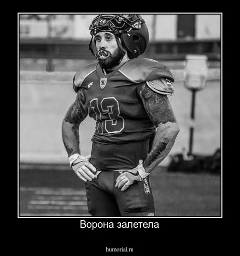 Ворона залетела