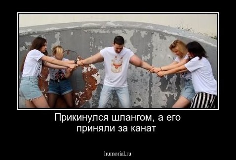 Прикинулся шлангом,  а  его приняли за  канат