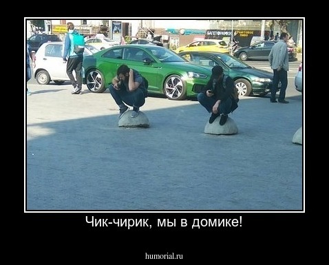 Чик-чирик, мы в домике!