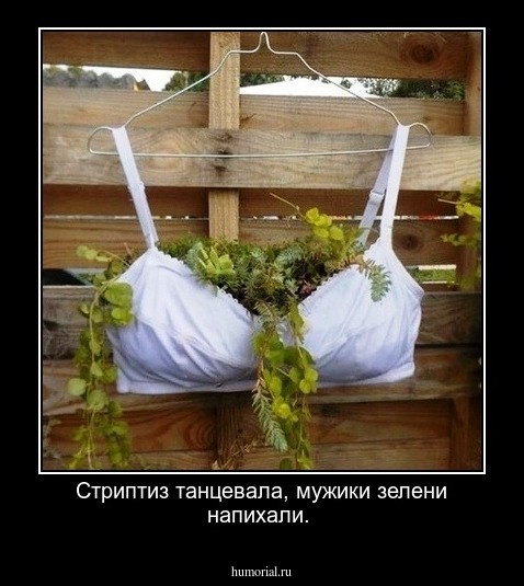 Стриптиз танцевала, мужики зелени напихали.