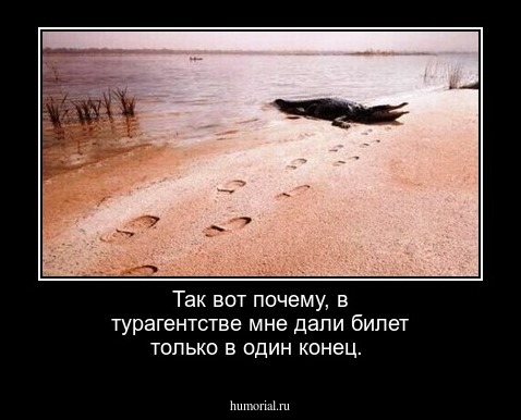 Так вот почему, в турагентстве  мне дали билет только в один конец.     