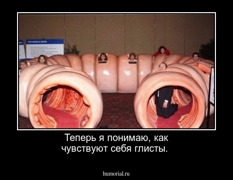 Теперь я понимаю, как чувствуют себя глисты.    