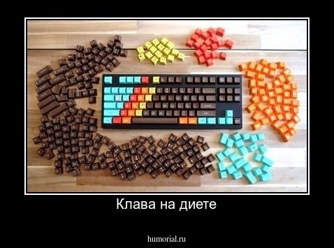 Клава на диете