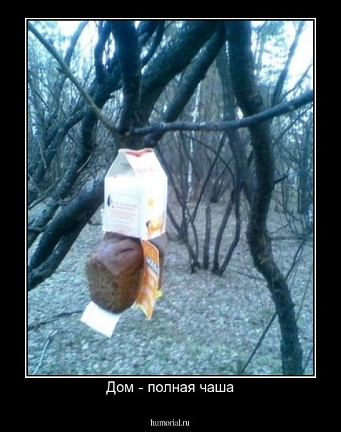 Дом - полная чаша