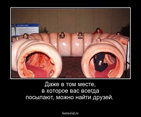 Даже в том месте, в которое вас всегда посылают, можно найти друзей.