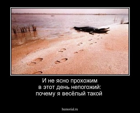 И не ясно прохожим  в этот день непогожий:
почему я весёлый такой