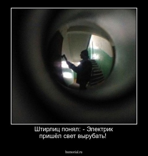 Штирлиц понял: - Электрик пришёл свет вырубать!
