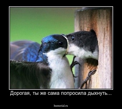 Дорогая, ты же сама попросила дыхнуть...