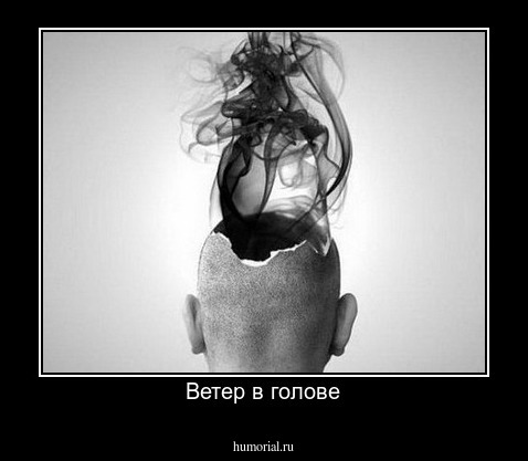 Ветер в голове