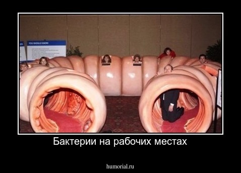 Бактерии на рабочих местах