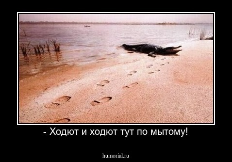 - Ходют и ходют тут по мытому!