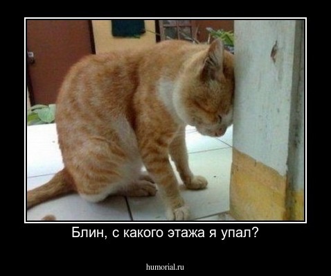 Блин, с какого этажа я упал?