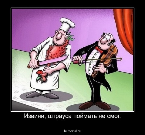 Извини, штрауса поймать не шмог.