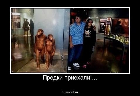 Предки приехали!...