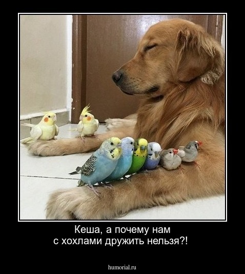 Кеша, а почему нам с хохлами дружить нельзя?!