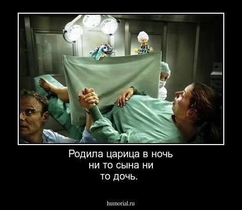 Родила царица в ночь ни то сына ни то дочь.