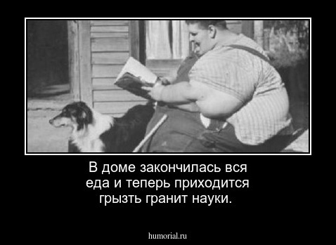 В доме закончилась вся еда и теперь приходится грызть гранит науки.
