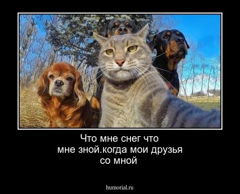 Что мне снег что мне зной.когда мои друзья со мной