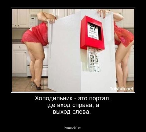 Холодильник - это портал, где вход справа, а выход слева.