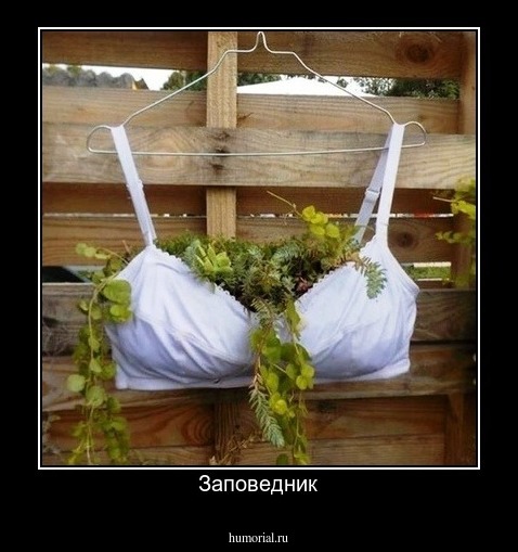 Заповедник