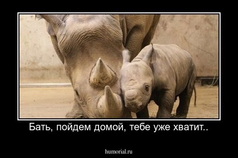 Бать, пойдем домой, тебе уже хватит..