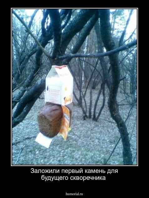 Заложили первый камень для будущего скворечника