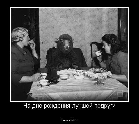 На дне рождения лучшей подруги