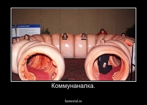 Коммунаналка.
