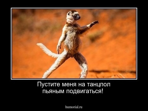 Пустите меня на танцпол пьяным подвигаться!