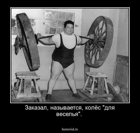 Заказал, называется, колёс "для веселья".