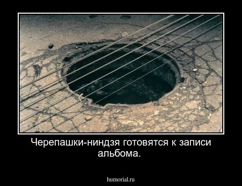 Черепашки-ниндзя готовятся к записи альбома.