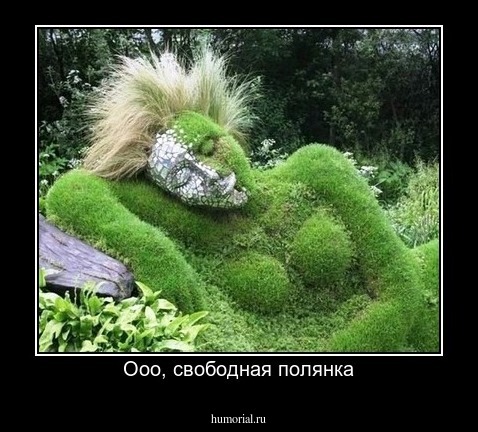 Ооо, свободная полянка