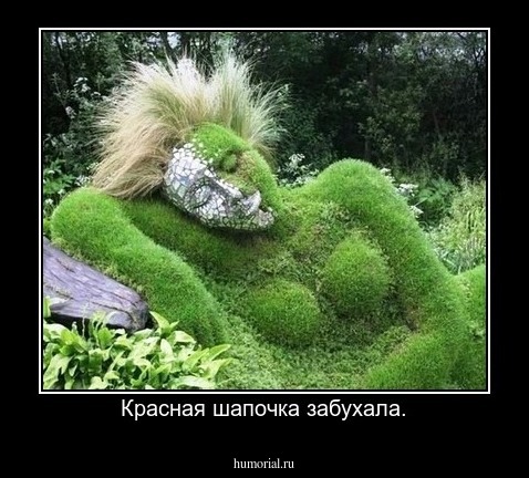 Красная шапочка забухала.