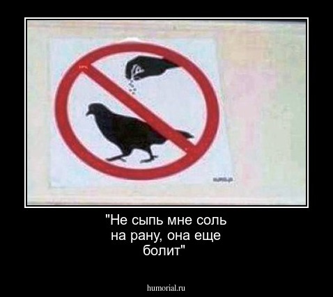"Не сыпь мне соль на рану, она еще болит"